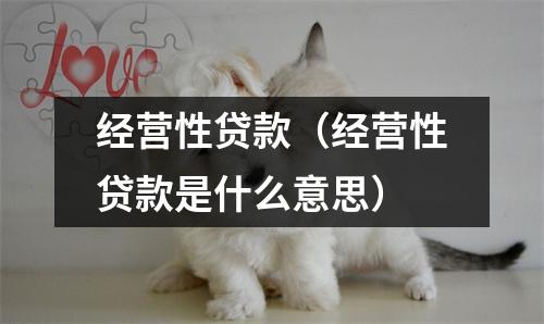 经营性贷款(经营性贷款是什么意思)