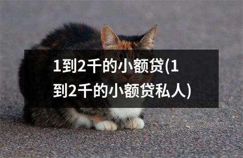 1到2千的小额贷(1到2千的小额贷私人)