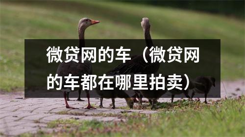微贷网的车（微贷网的车都在哪里拍卖）