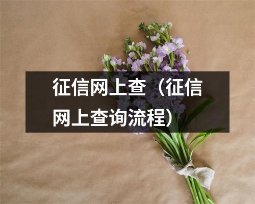 征信网上查（征信网上查询流程）