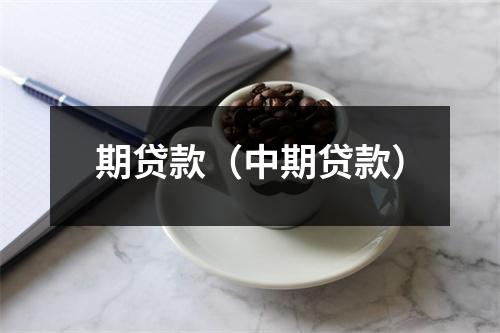 期贷款（中期贷款）