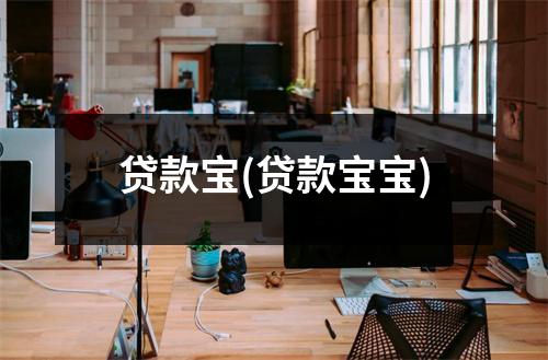 贷款宝(贷款宝宝)
