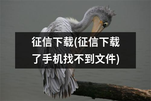 征信下载(征信下载了手机找不到文件)