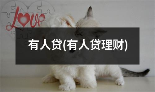 有人贷(有人贷理财)