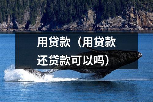 用贷款(用贷款还贷款可以吗)