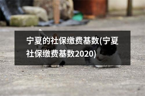 宁夏的社保缴费基数(宁夏社保缴费基数2020)