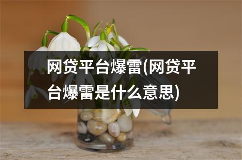 网贷平台爆雷(网贷平台爆雷是什么意思)