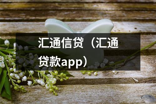 汇通信贷（汇通贷款app）