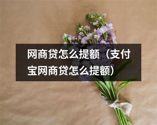 网商贷怎么提额(支付宝网商贷怎么提额)