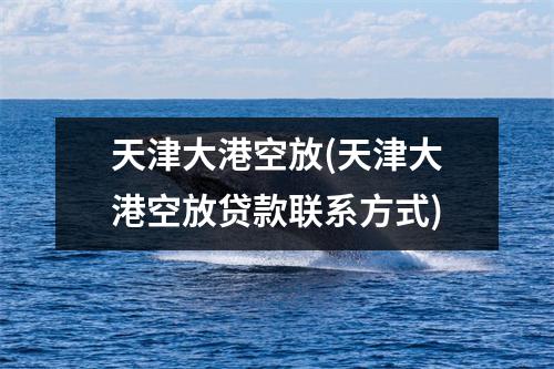 天津大港空放(天津大港空放贷款联系方式)