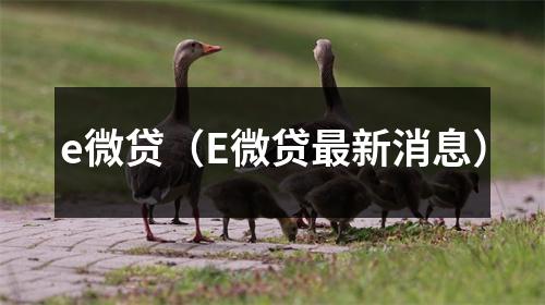 e微贷（E微贷最新消息）