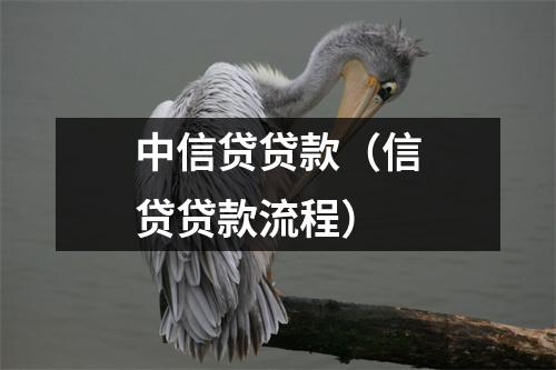 中信贷贷款（信贷贷款流程）