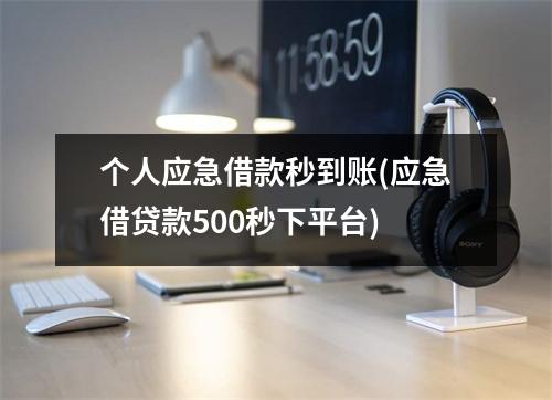 个人应急借款秒到账(应急借贷款500秒下平台)