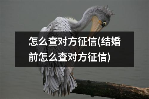 怎么查对方征信(结婚前怎么查对方征信)