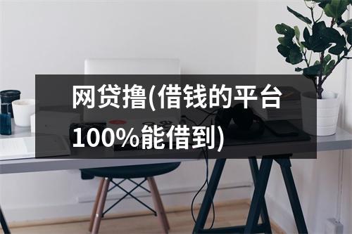网贷撸(借钱的平台100%能借到)