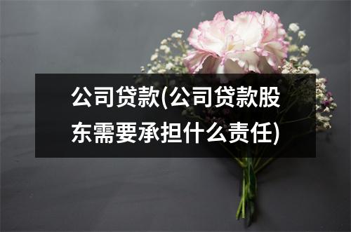 公司贷款(公司贷款股东需要承担什么责任)