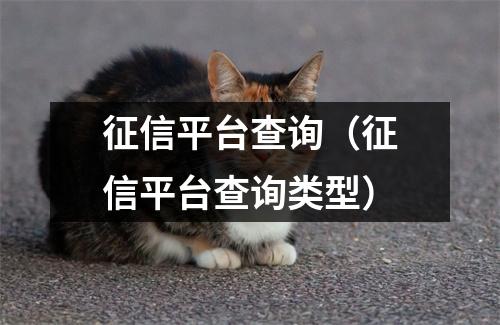 征信平台查询（征信平台查询类型）
