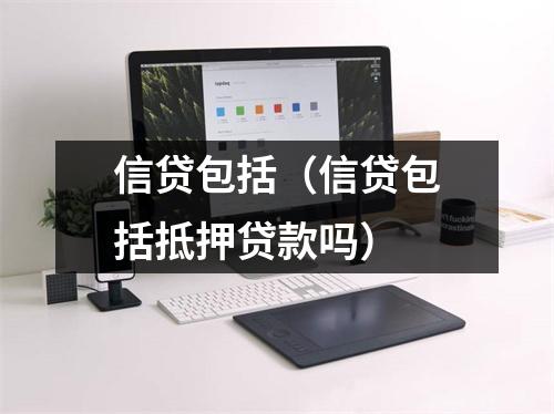 信贷包括（信贷包括抵押贷款吗）