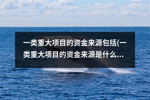 一类重大项目的资金来源包括(一类重大项目的资金来源是什么)