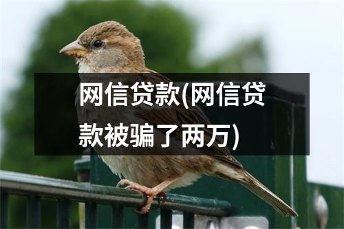 网信贷款(网信贷款被骗了两万)