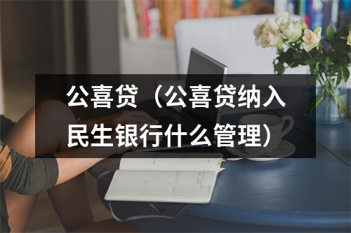 公喜贷(公喜贷纳入民生银行什么管理)