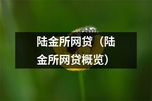 陆金所网贷（陆金所网贷概览）