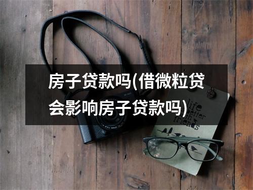 房子贷款吗(借微粒贷会影响房子贷款吗)