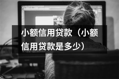 小额信用贷款（小额信用贷款是多少）
