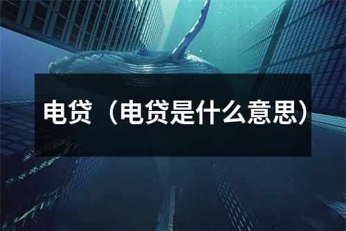 电贷(电贷是什么意思)