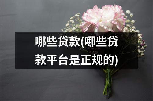 哪些贷款(哪些贷款平台是正规的)