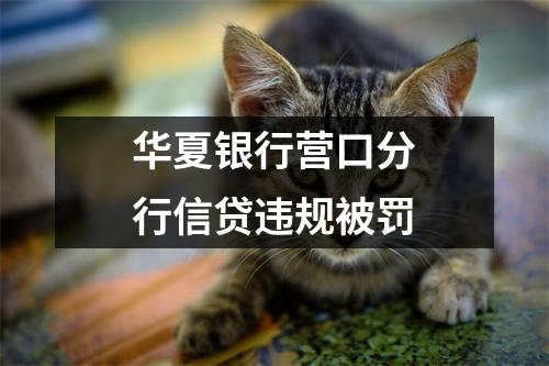 华夏银行营口分行信贷违规被罚