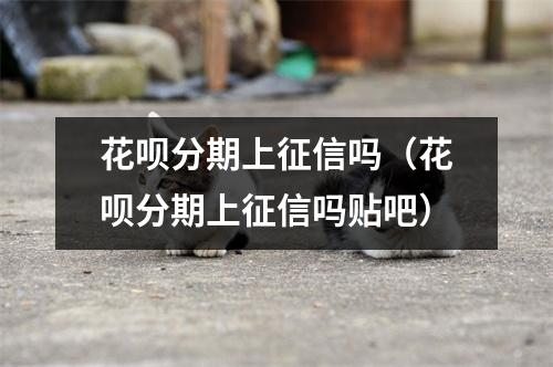 花呗分期上征信吗（花呗分期上征信吗贴吧）