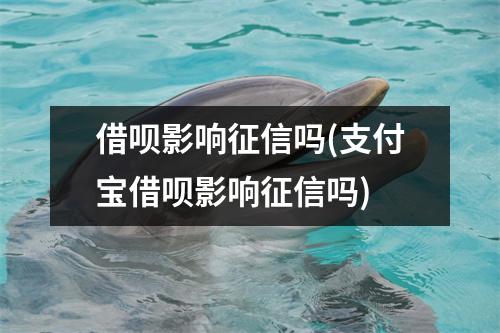 借呗影响征信吗(支付宝借呗影响征信吗)