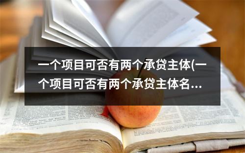 一个项目可否有两个承贷主体(一个项目可否有两个承贷主体名称)