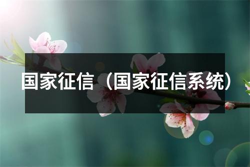 国家征信（国家征信系统）