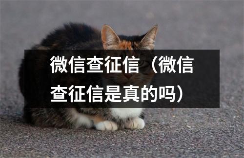 微信查征信(微信查征信是真的吗)