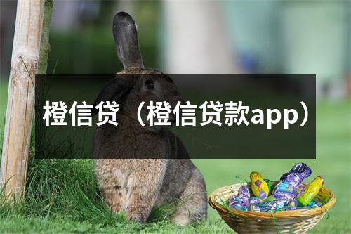橙信贷(橙信贷款app)