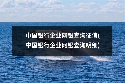 中国银行企业网银查询征信(中国银行企业网银查询明细)