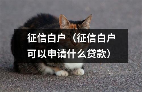 征信白户(征信白户可以申请什么贷款)