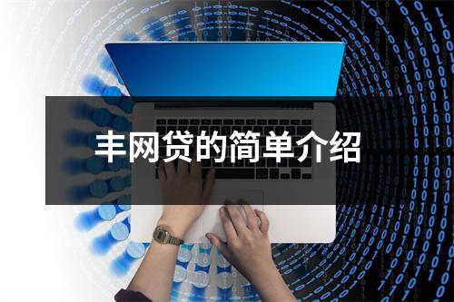 丰网贷的简单介绍