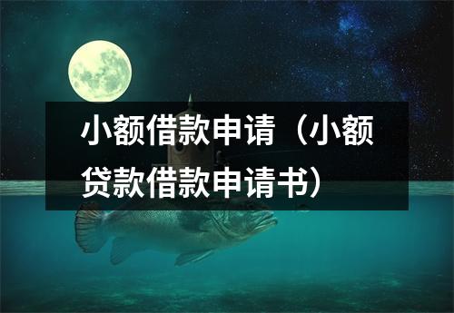 小额借款申请（小额贷款借款申请书）