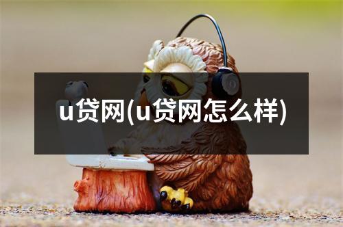 u贷网(u贷网怎么样)
