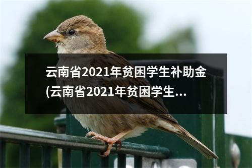 云南省2021年贫困学生补助金(云南省2021年贫困学生补助政策)
