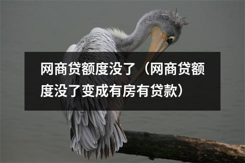 网商贷额度没了（网商贷额度没了变成有房有贷款）