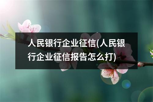 人民银行企业征信(人民银行企业征信报告怎么打)