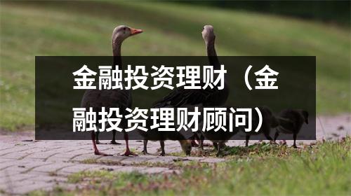 金融投资理财（金融投资理财顾问）