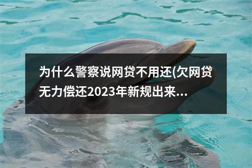 为什么警察说网贷不用还(欠网贷无力偿还2023年新规出来了)