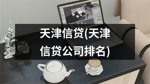 天津信贷(天津信贷公司排名)