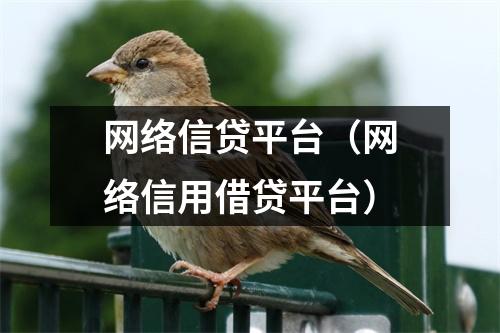 网络信贷平台（网络信用借贷平台）