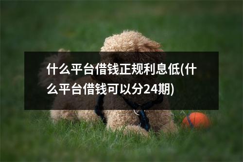 什么平台借钱正规利息低(什么平台借钱可以分24期)